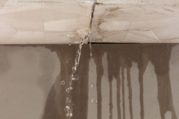 Professional Flood Damage Cleanup technician working in Lone Tree, IA